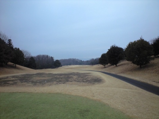 img20090127_1.jpg