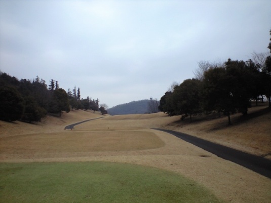 img20090127_2.jpg