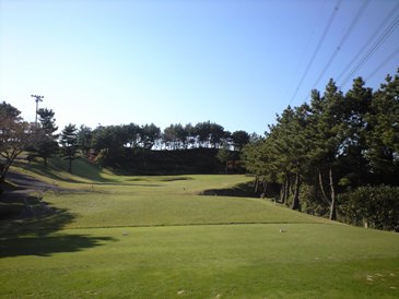 img20081103_1e.jpg