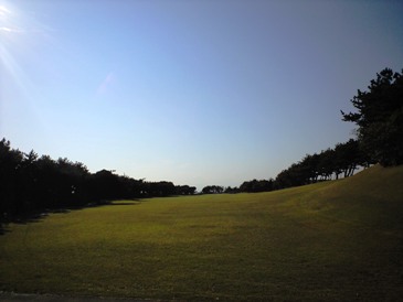 img20081103_2e.jpg