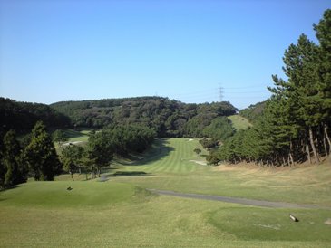 img20081103e.jpg