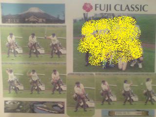 img20080806_1.jpg