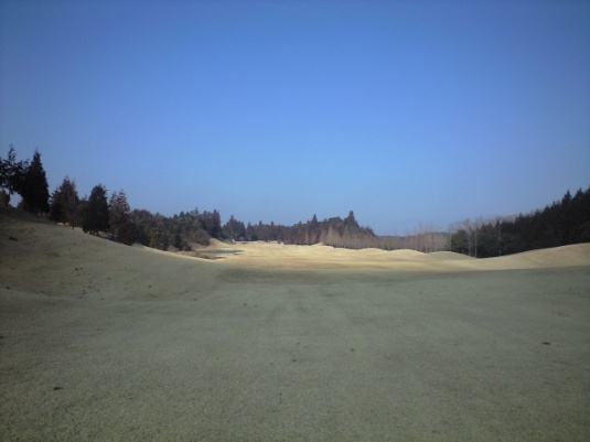 img20090210_2c.jpg