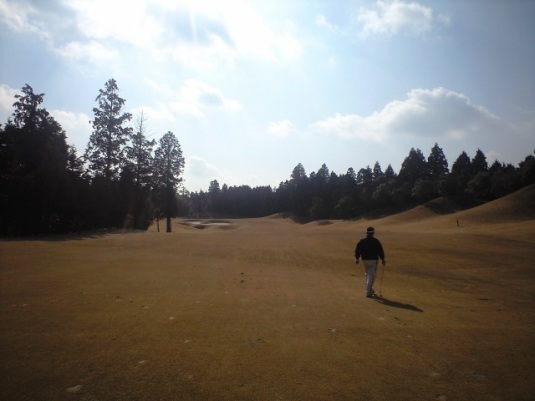 img20090210_3c.jpg
