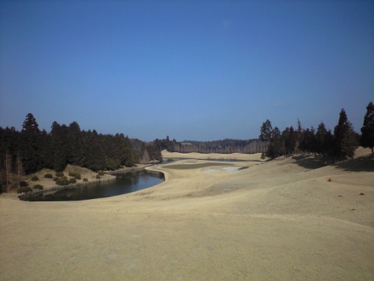 img20090210_4c.jpg