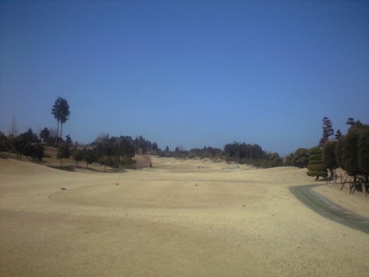 img20090210c.jpg