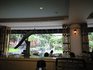 朝の散歩と朝食