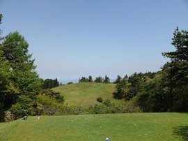 pondsimg20090510.jpg