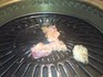 熊本での夕食はもちろん馬肉料理