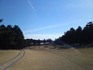 第３回いちこ杯で空振り。。。