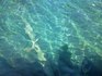 映画の舞台になった箭竹海とパンダがいた熊猫海（九寨溝）