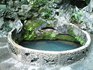 銘茶、龍井茶を訪ねて（その１）