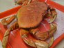 サンペドロの港町で夕食