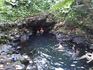 ハワイ島の温泉「アイザック・ハレ・ビーチパークの秘湯」