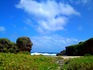 海辺に佇む老人の形をした奇岩