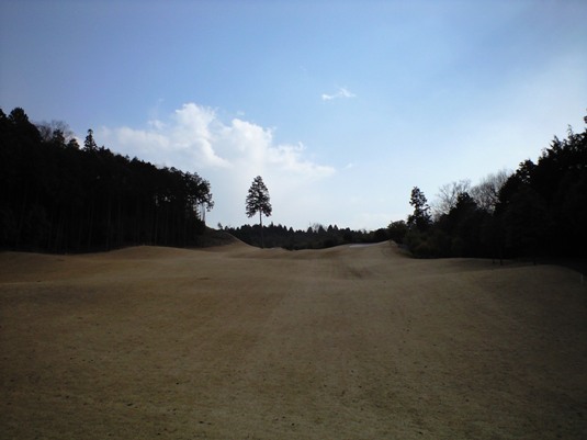 0img20090312_1.jpg