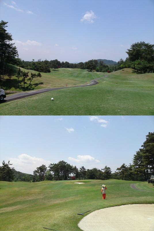 1img20090517.jpg