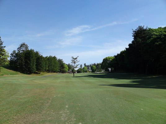4img20090521_4.jpg