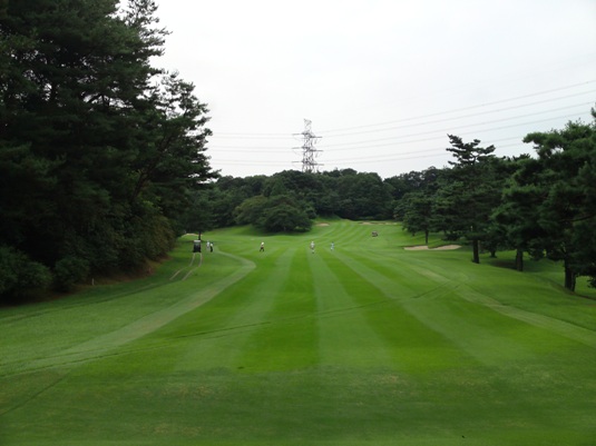 tanabe-12a.JPG