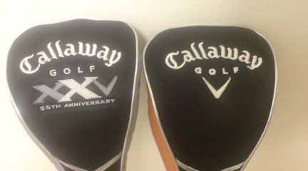 aimg20080523_3a.jpg