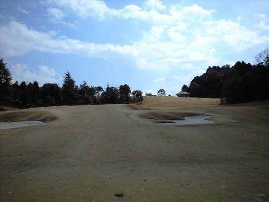 cimg20090312_3.jpg