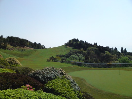 ddimg20090510_1.jpg