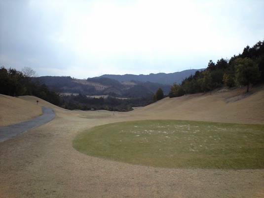 dimg20090312.jpg