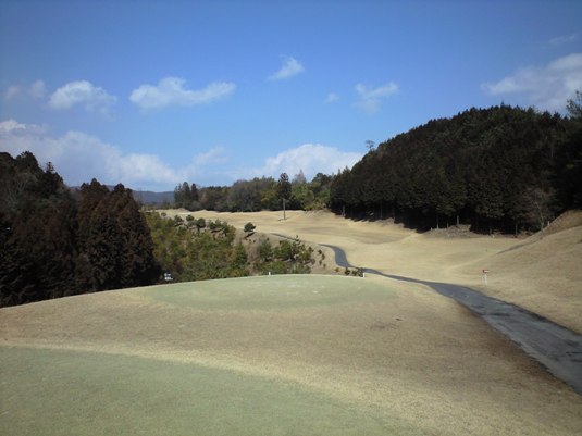 dimg20090312_1.jpg