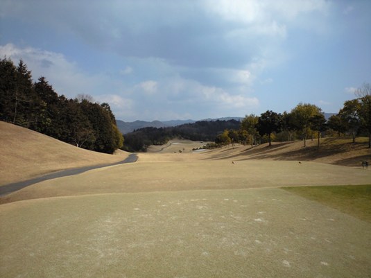 dimg20090312_3.jpg