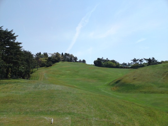 excelsiorimg20090510_3.jpg