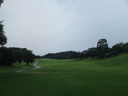 h08aSN3J0491.JPG