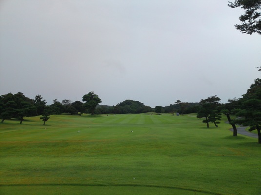 h10aSN3J0495.JPG