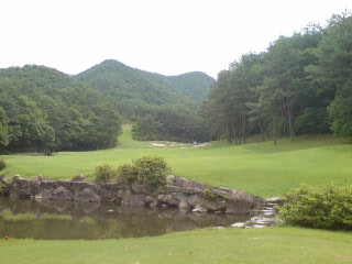 img20080626.jpg