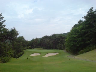 img20080626_1.jpg