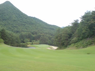 img20080626_1a.jpg