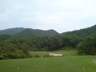 img20080626_3.jpg