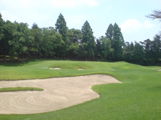 img20080707.jpg