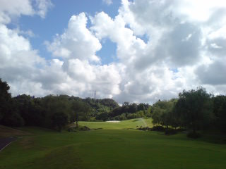 img20080809a.jpg