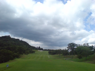 img20080815c.jpg