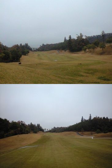 img20081130_2a.jpg