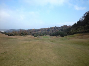 img20081130_3c.jpg