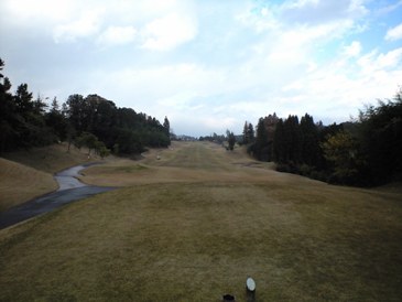 img20081130_3d.jpg