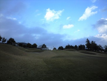 img20081130_4d.jpg