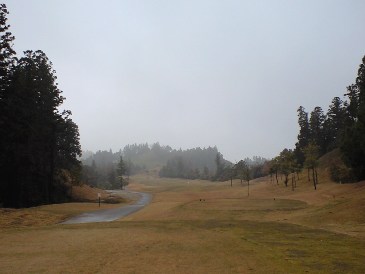 img20081130c.jpg