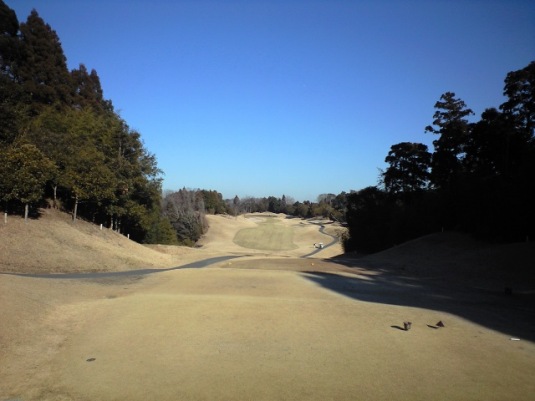 img20090117_2c.jpg