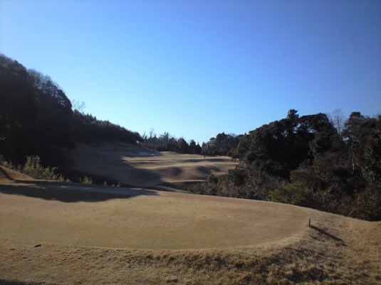 img20090117_3c.jpg