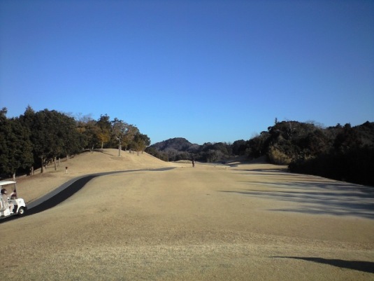 img20090117c.jpg