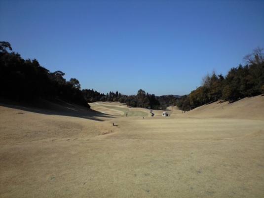 img20090120.jpg