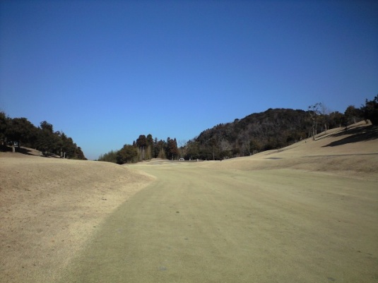 img20090120_1b.jpg