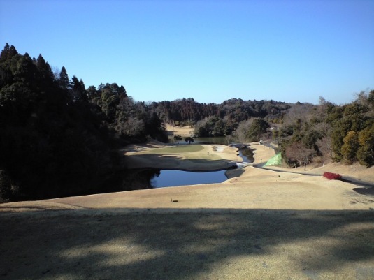 img20090120_3a.jpg